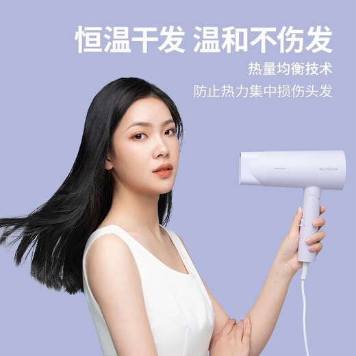 FLYCO high-speed hair dryer household negative ion constant temperature hair care high wind speed drying bass portable dormitory student hair dryer negative ion hair care FH6276 1800W high power