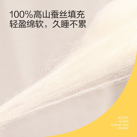 太湖雪蚕丝被芯加厚100%蚕丝填充二合一子母被子A类抗菌冬被丝柔 100%蚕丝净重3斤【A类抗菌】 200*230cm