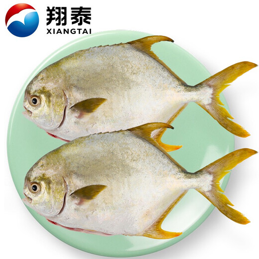 Xiangtai Hainan second-stripped golden pomfret 700g/2 pieces, grilled fresh fish with gills and internal organs removed, seafood and aquatic products