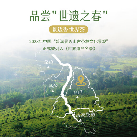 Lancang Ancient Tea Yunnan Pu'er Raw Tea 2024 Jingmai Spring Jingmai Mountain Mingzhou Spring Tea Raw Tea Leaves 200g*1 Cake