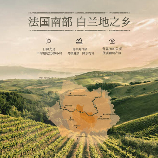 派斯顿法国进口洋酒白兰地40°烈酒礼盒 原酒进口 豪门整箱装 700mL 6瓶