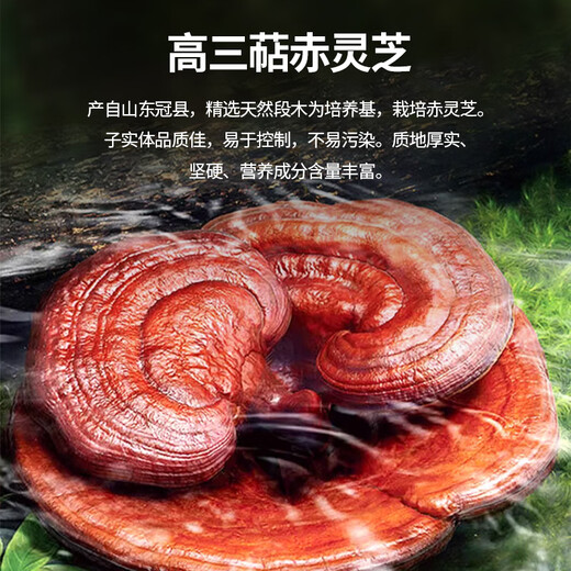 Qiangbeiguan Organic Break Wall Ganoderma lucidum spore порошок [Triterpene 16%] Органическая синяя шляпа двойная сертифицированная здравоохранение после операции Тоники 6 Продуктов 6 Коробок (второй год) Получите еще одну коробку (80%), чтобы купить.