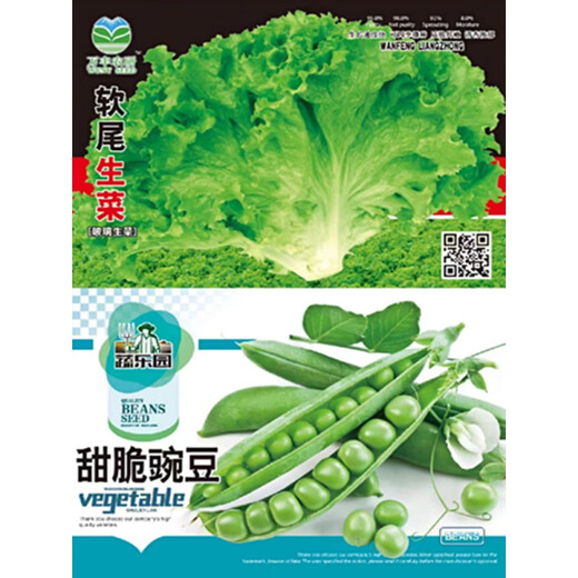 Various four-season balcony field potted vegetable seeds, leafy vegetables, mustard, cabbage, radish seeds, autumn and winter, pink (cherry cherry tomatoes), about 50 seeds