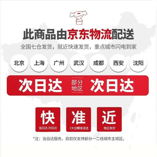 集物一册微景观十二生肖树脂摆件鼠牛虎兔龙蛇马羊猴鸡狗猪小摆件生日礼物 彩色一套/12个（布袋装） 12生肖小摆件生日儿童节礼物