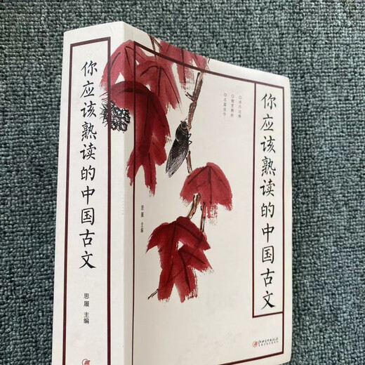680页 厚本你应该熟读的中国古文中国古诗中国古词 国学经典阅读 中国古词