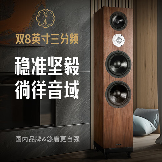 Youtang T718 fever-grade hifi passive speaker dual 8-inch floor box professional wooden audio high-middle bass three-minute floor speaker T718 (dual 8-inch HIFI fever-grade speaker)