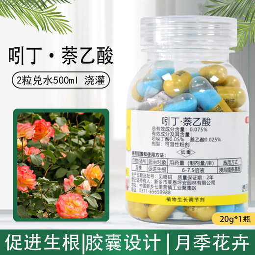Rooting agent to promote rooting indole butyric acid naphthalene acetic acid capsule rose cutting transplantation to promote rooting agent regulation 20g*1 bottle (40 capsules)