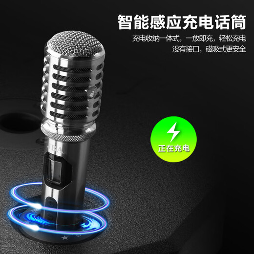 JBA high-end professional stage performance outdoor square dance audio high-power bass karaoke with Bluetooth song request wedding school meeting outdoor activities mobile KTV trolley speaker 12-inch professional bass + dual microphones