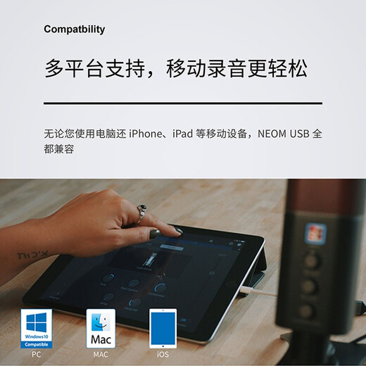 SE popular selection American Neom USB condenser microphone game karaoke live online class dubbing recording professional audiobook built-in sound card radio microphone sE Neom standard configuration