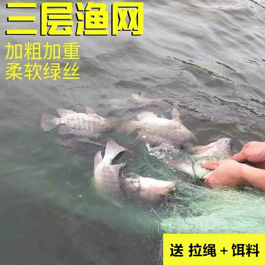 Guangtai Fishing Net Three-layer Sunken Net Sticky Fish Net Green Silk Fishing Net Sticky Net Fishing Net Hanging Net to Catch Fish Wire Net Sticky Fish Net Three-layer Sunken Net 1.5 meters high 3 fingers 50 meters long