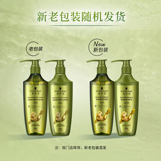 
Schwarzko Ginger Essence Shampoo 600ml Oil Control Fluffy Shampoo Refreshing Shampoo