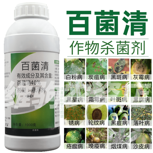 40% chlorothalonil fungicide for fruit trees, vegetables and flowers to prevent rust, anthracnose, leaf spot, downy mildew, leaf spot 1000g