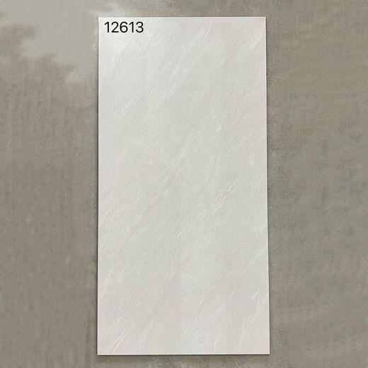 维诺亚600x1200仿古地砖防滑客厅水泥灰仿古砖工业复古风极简风哑光地面 12625