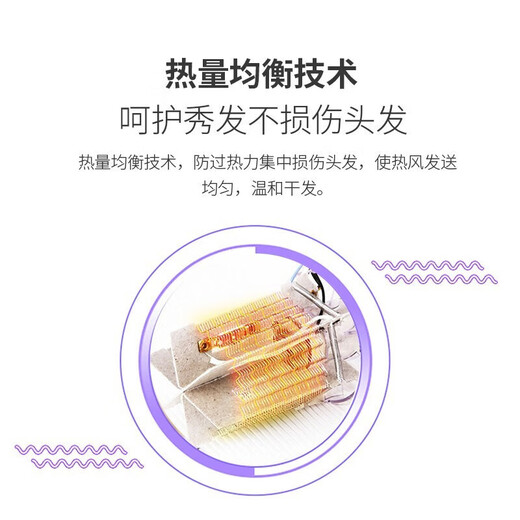 飞科（FLYCO） 电吹风2000W家用大小功率吹风筒便携式吹风机冷热风负离子不伤发 飞科FH6255  1200W   婚纱白