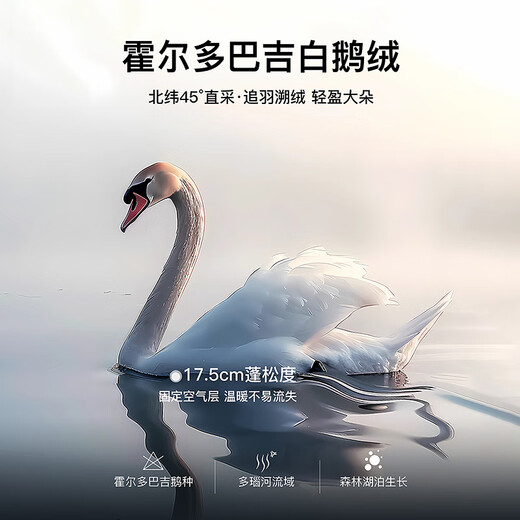 Langzi Holdobagi white goose down retro slightly flared down pants high-end winter new style for women black M