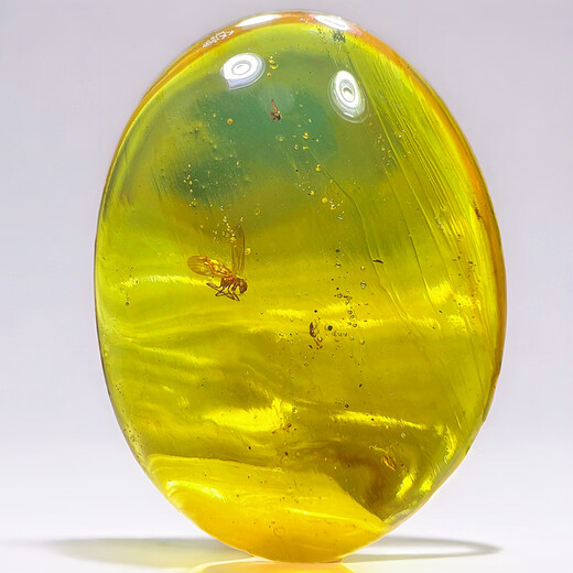 Xuanshi's new Burmese natural bee insect amber spider amber Cretaceous insect fossil paleontological specimen authentic 7.01 38*29*12mm 7.01g