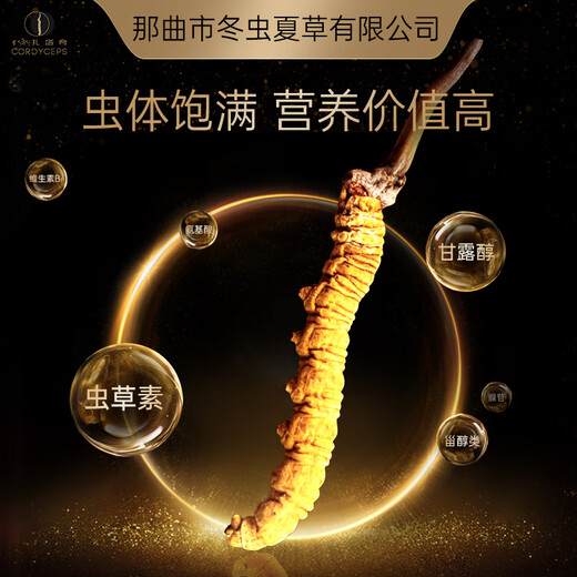 Nagqu Cordyceps sinensis wild Cordyceps 4 roots/g high-quality tonic Cordyceps gift box Health care nutrition supplements for elders and leaders and parents [Preferred for self-use] 3 roots