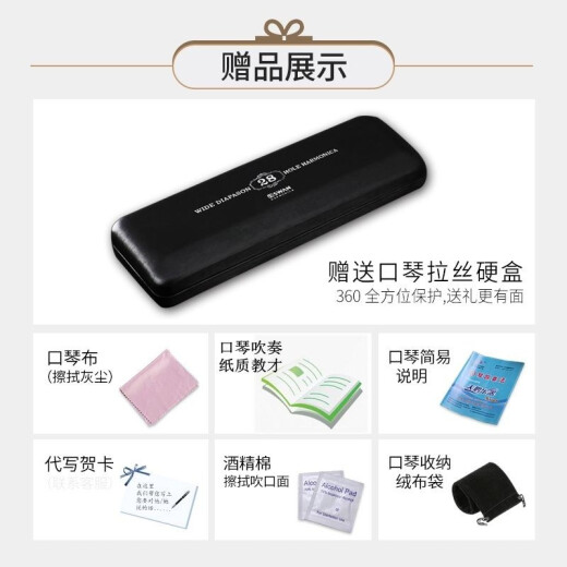天鹅德国进口音簧28孔复音口琴高端成人重音送礼品专业演奏级乐器 蓝色重音C调
