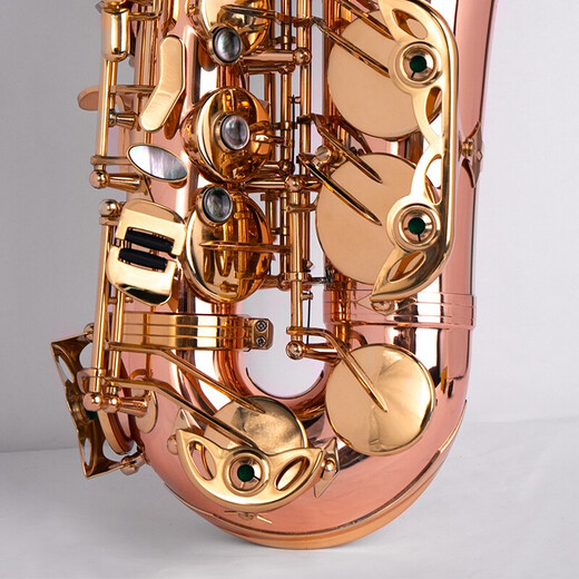
Jinbao Saxophone JBAS-1010 mid-E flat saxophone rating performance Western wind instruments