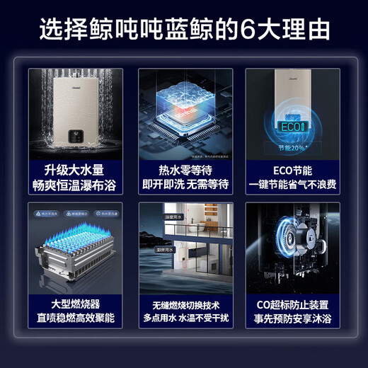 Rinnai Blue Whale 20L gas water heater, state subsidy, zero cold water, large water volume 20GD61R (JSQ40-GD61R)