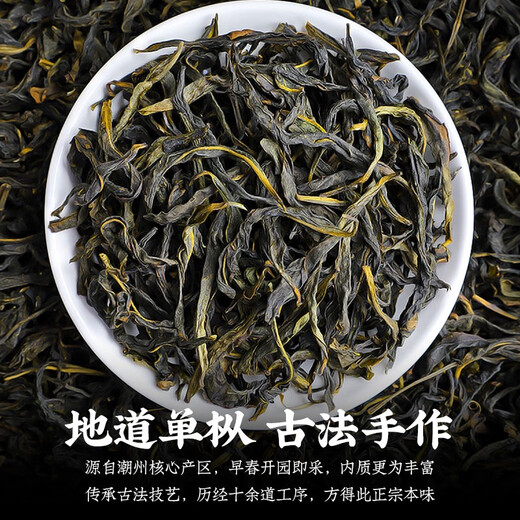 陈一凡 正宗高山凤凰单枞 茶叶 乌龙茶新茶 正宗潮州鸭屎单丛乌龙茶250g