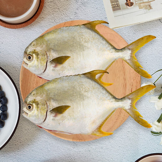 Xiangtai Hainan second-stripped golden pomfret 700g/2 pieces, grilled fresh fish with gills and internal organs removed, seafood and aquatic products