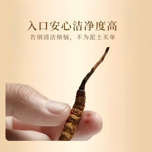 
Cordyceps gift box selection of high-altitude Cordyceps unbroken grass high quality gifts for self-eating nourishing and health care Tibet Nagqu Cordyceps 3 roots 1g total 10 packs