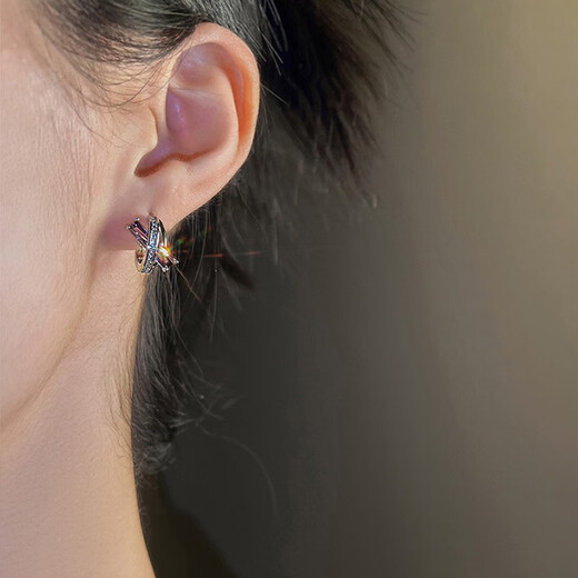 Idel Purple French Earrings and Earrings 2025 New Niche Design High-End Exquisite Earrings Girl Birthday Gift Purple Zirconium Earrings Silver E2795