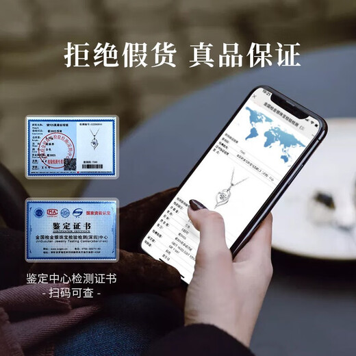 Farinluo Is in My Heart Necklace for Women Moissanite Diamond Pendant Platinum Fashion Jewelry Birthday and Valentine's Day Gift for Girlfriend Light Luxury Model - I Am In My Heart Moissanite Necklace Free Engraving Customized Exclusive Gift