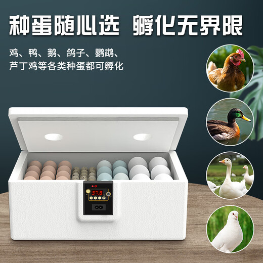 CLCEY chick incubator fully automatic 2024 small household smart egg incubator mini water bed rutin chicken 22 pieces foam water bed dual electric (classic model with photo eggs