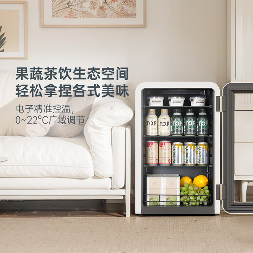 HCK Husky Hasta un 15% de subsidio retro pequeña barra de hielo hogar pequeño refrigerador de una sola puerta vitrina de bebidas con eficiencia energética de primera clase congelador pequeño gabinete fresco 64L / 67L Xiaobai Bar 丨GC-68-S丨67L