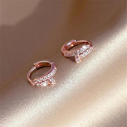 Luruo 2024 New 18K Gold Rose Gold Nail Earrings Women's Light Luxury Niche Earrings High-end Temperament Earrings Rose Gold Earrings
