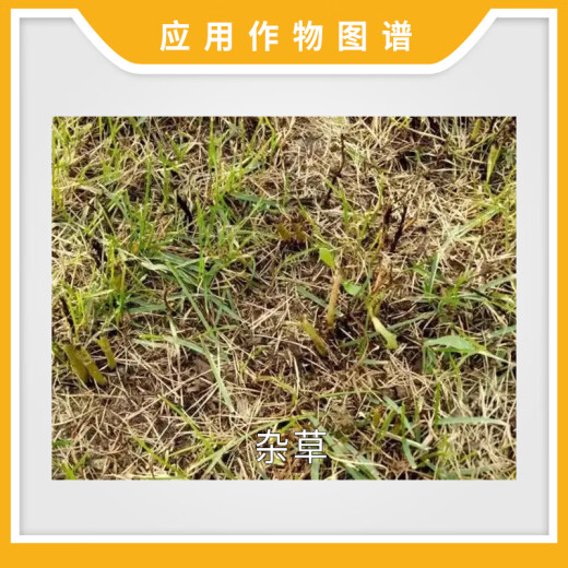 新路 一七锄757草甘膦铵盐草甘磷柑橘园杂草除草剂农药除草剂 50g