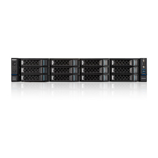 
Yuannai Inspur Information CS5280H2 Server Domestic Intelligence 2 Haiguang C86-7375 32-core 2.0G丨64G memory 3 4T SATA array card