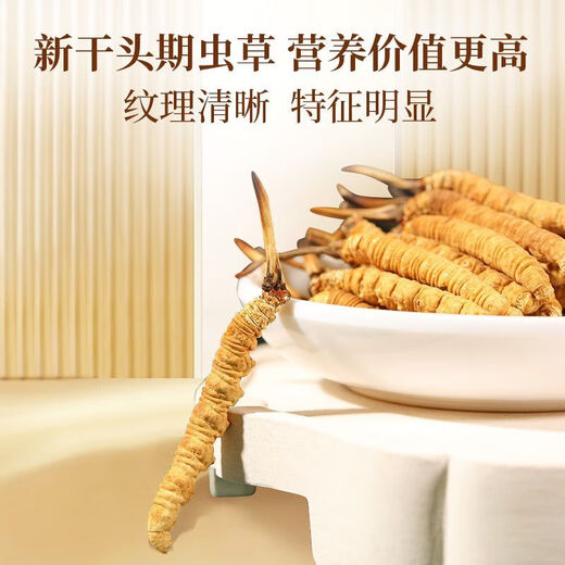 Пекин Тонгрентанг [Черная пятница] Cordyceps Sinensis Fresh Cordyceps сухожие товары Cordyceps Аутентичный фестиваль чистого мяса 31 штуки для 3 пакетов