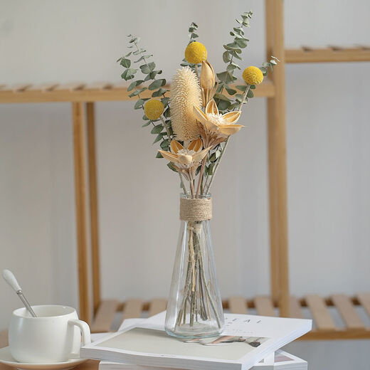 AIMAN Yunnan dried flower bouquet Nordic style home furnishings Eucalyptus cotton diy living room room decoration 5 eucalyptus leaves