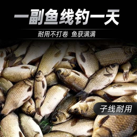 Qianshou Fishing Line Fishing Line Nylon Line Super Soft Strong Tension Japan Imported Taiwanese Fishing Line Main Line 1.5