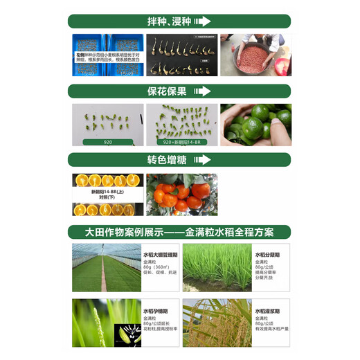 New Chaoyang Shuofeng 481 Jinmangrain 14 Hydroxybrassinosteroid Lactone Lipid Preserves Flowers and Fruits and Vegetables Pesticide Growth Regulator