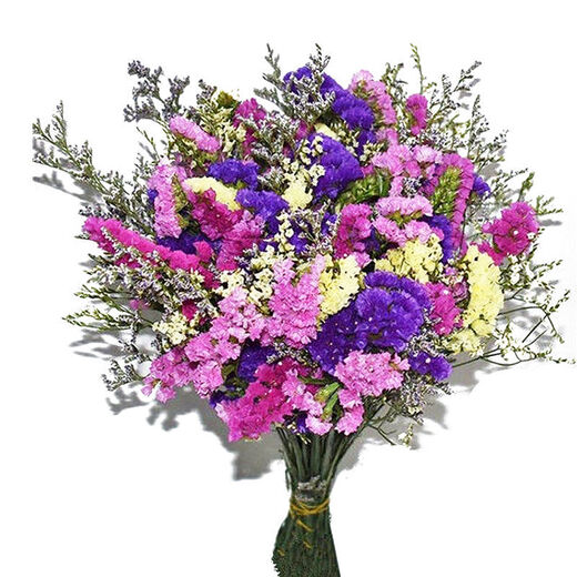 AIMAN Yunnan Flowers Dried Flower Bouquet Forget-Me-Not Lover Grass Combination Starry Gypsophila Living Room Real Flowers Flower Arrangement Home Furnishings Pink + Grass About 30 Pieces Not Included in the Flower Basket