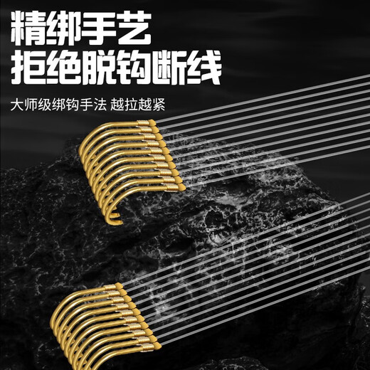 Haidi 40 pairs of imported gold sleeves line with double hooks and thorns, finished fish hooks tied set, official hanging line set, special for carp and crucian carp, gold sleeves with thorns, hook 3/4 + line 0.8/1.0, 20 each