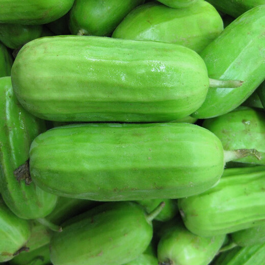 Zhongke Maohua Fruit and Vegetable Seeds Maohua Eight-Edge Crispy Vegetable Melon Seeds Edgeless Green Vegetable Melon Seeds Low sugar type Crisp and juicy Fresh cantaloupe can be eaten cold Early maturity and high yield Fragrant crispy treasure 10g/bag