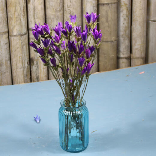 AIMAN Yunnan dried flower bouquet natural real flowers octagonal flower magnolia flower small lily living room decoration soft furnishing matching yellow (1 bouquet of 30 flowers free of charge)