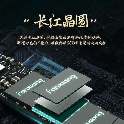 梵想（FANXIANG）S500PRO/S690/S790固态硬盘M.2 NVME 台式机PS5笔记本SSD PCIE4.0 S790 1TB PCIE4.0 旗舰款 标配：散热片+螺丝+螺丝刀