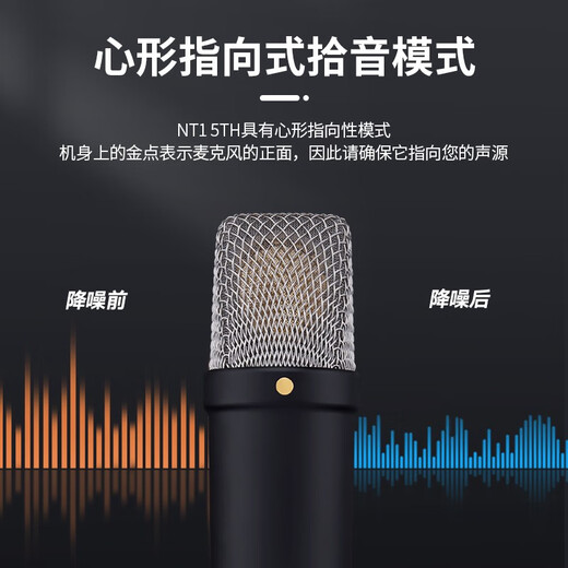 RODE NT1 5TH large diaphragm vocal condenser microphone professional home live broadcast karaoke microphone recording studio internet celebrity anchor computer dubbing recording microphone NT1 5TH condenser microphone (black model) + DS2 desktop stand