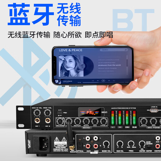 Depusheng REV3900 KTV pre-amp effector with rechargeable wireless microphone for home karaoke singing TV reverberator box commercial anti-howling audio processing USB fiber optic Bluetooth FX8 dual handheld rechargeable microphone