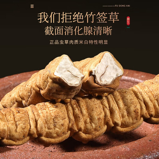 Fudonghai Cordyceps sinensis 8G Geschenkbox (hochwertige alle Insekten) Geschenk Qinghai hochwertiges, praller und trockenfreies Gras