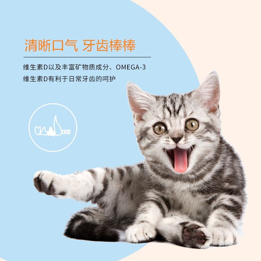 Paddy Time Cat Food Full Price General Cat Food Kitten Adult Cat Food Whole Period Cat Food Hypoallergenic Formula General Cat Food All Cats Paddy Time Full Price Adult Cat Food 10kg