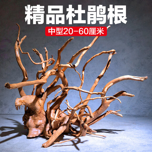 Natural sunken wood azalea root fish tank landscaping material habitat for fish and shrimp to avoid lizards climbing and pet arch bridge ornaments Selected medium-sized azalea roots 18-25 cm 2 pieces Selected azalea root sunken wood