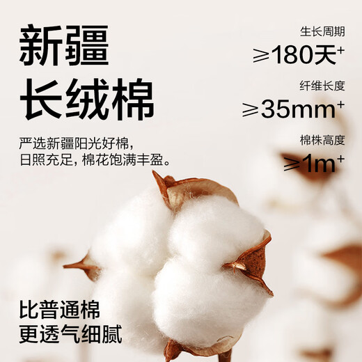 Jingshu Cotton [School Season] JD.com's own brand long lint cotton 7A antibacterial and deodorizing pure cotton men's middle socks 5 pairs