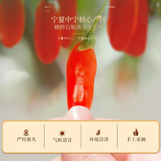 Fudonghai Red Wolfberry Pulp 600 ml [100% reines Fruchtfleisch für das Gewissen] Ningxia Erste rote Wolfberry -Rohflüssigkeit 20 Taschen